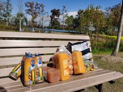 -上海长兴岛郊野公园