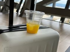 -关西国际机场直营免税店