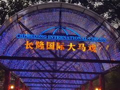 -广州长隆国际大马戏