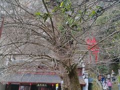 -大慈岩风景区