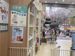 -米苏动物医院·犬猫专科·骨科外科内窥镜