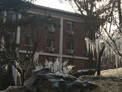 -清华大学-清芬园