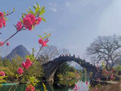 -村上春树