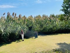 -上海山野camping·户外天幕烧烤·团建拓展营地