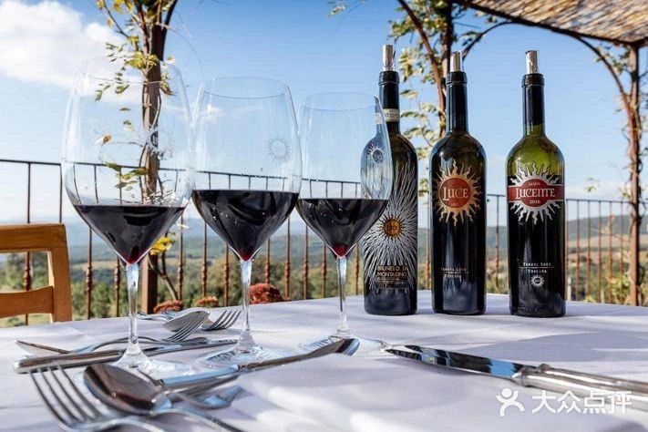 托斯卡纳大太阳tenuta luce麓鹊酒庄