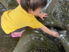 -成都市活水公园