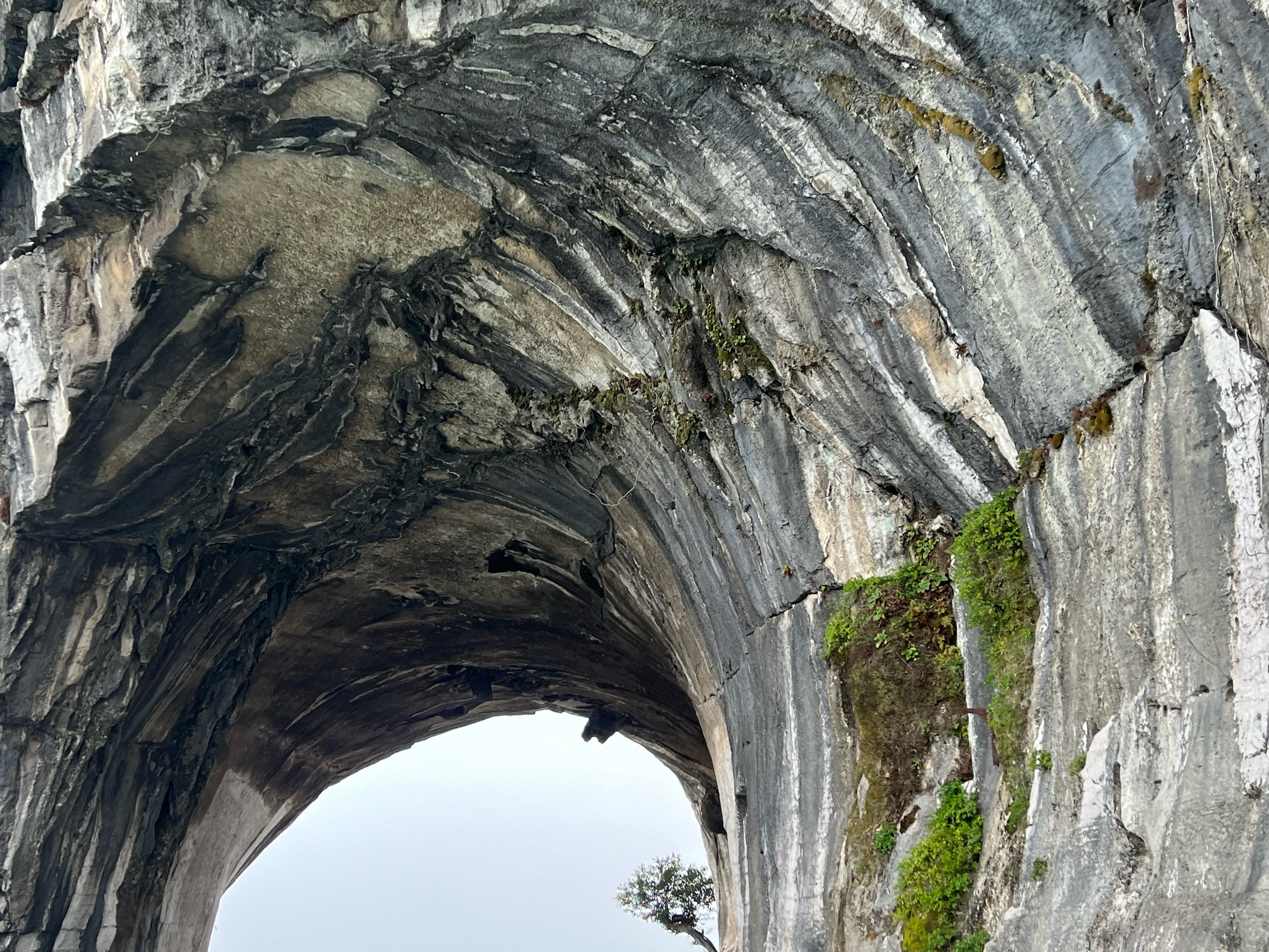 湘西地质公园象鼻山图片