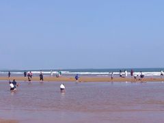 -前王院•巧克力海鲜市集餐厅(万平口店)