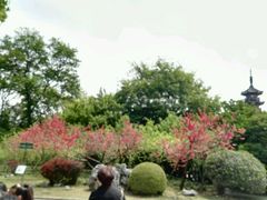 -上海市龙华烈士陵园