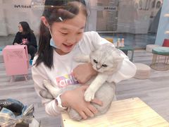 -BABIT巴比特宠物(MOMOPARK店)