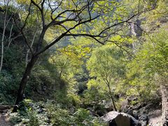 -云岫谷游猎自然风景区