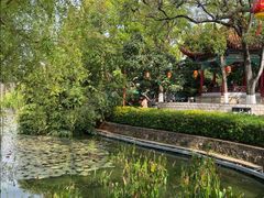 -翠湖公园