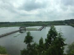 -溱湖国家湿地公园