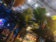 -青岛东方影都融创水世界