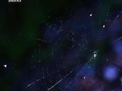 -溪口-滕头旅游景区