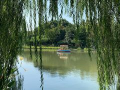 -圩墩遗址公园