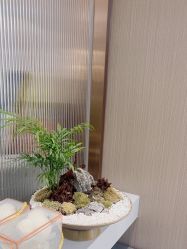 -杜卡诗salon