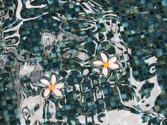 -樟宜机场皇冠假日酒店 （SG Clean） - IHG 旗下酒店