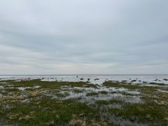 -青海湖仙女湾景区