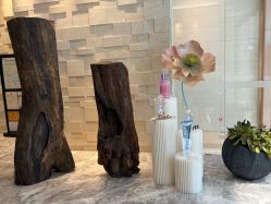 -丽妍雅集 Rubis SPA