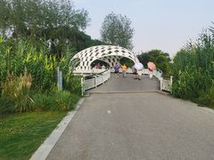 -同里国家湿地公园