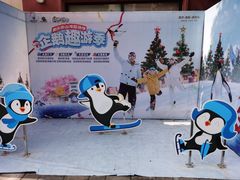 -重庆海昌加勒比海水世界