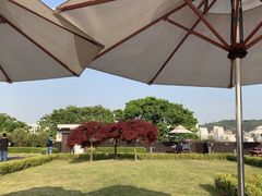 -新罗免税店(首尔总店)