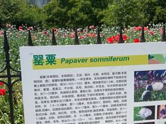 -国家植物园南园