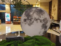 -九华山聚龙大酒店