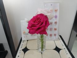 -魔丽卡·中国式美甲美睫