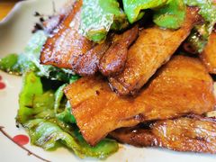 -丹江渔村(望京店)