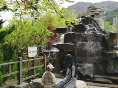 -青岛森林野生动物世界