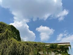 -府河摄影公园