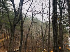 -洛阳白云山景区