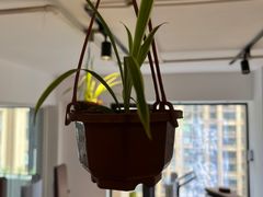 -悦耐私教健身馆(保利中心店)