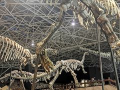 -世界恐龙谷景区