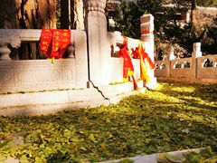 -潭柘寺景区