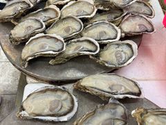 生蚝-板桥海鲜广场(文明东店)