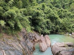 -广州白江湖森林公园