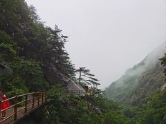 -罗田天堂寨风景区
