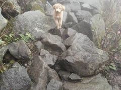 -九峰山