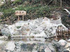 -南山植物园