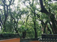 -普陀山风景名胜区-法雨禅寺