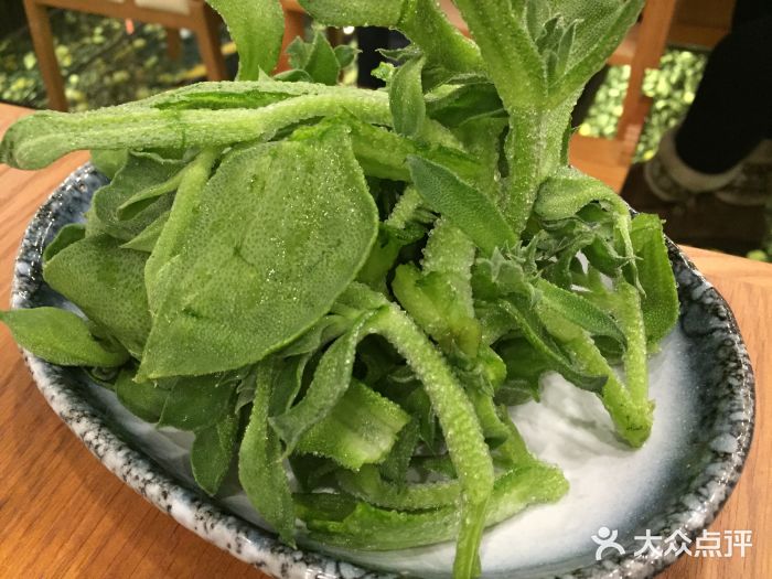 左庭右院鲜牛肉火锅(日月光店)冰草图片