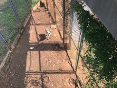 -合肥野生动物园