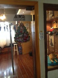 -费拉摄影(天廊T66店)