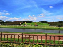 -迪茵湖田家舍生态农场