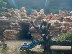 -石家庄市动物园