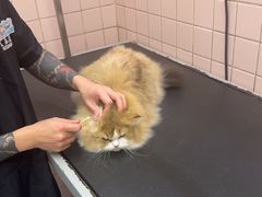 -FAELING PETS美天灵宠物(富力广场店)