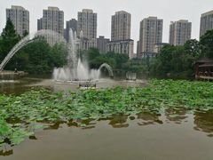 -龙头寺公园